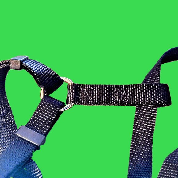 Small DOG Harness ~ No-Pull, H-Type, 5/8" Nylon Web-Strap ~ Adjustable 14"- 20" - Picture 9 of 11